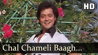 Krodhi  Chal Chameli Baagh Mein Mewa Khilaoonga  Suresh Wadker  Lata Mangeshkar [upl. by Nehcterg]