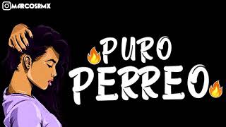 PURO PERREO 9🔥 BRASILERO 2019 MARCOS RMX [upl. by Uzziel]