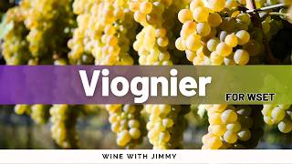 Viognier for WSET level 2 and level 3 [upl. by Eldreda]