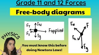 Free body diagrams Grade 11 and 12 Physics [upl. by Lienet107]