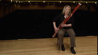 What does a bassoon sound like Ode to Joy [upl. by Sherar]