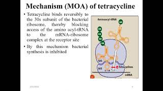 Antibiotics that inhibit protein synthesis Molecular biology [upl. by Karlik255]