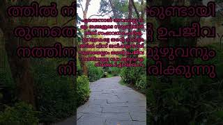 Jesus sat opposite the treasurymalayalam mark gospeldawnofknowledge2024februaryMer [upl. by Bowen1]