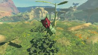 Korok seeds  Seres Scablands  Ridgeland Tower 19202122  Zelda BOTW [upl. by Luapnoj665]