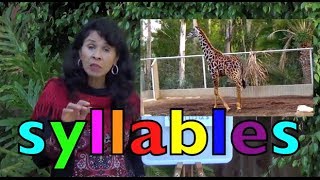 SYLLABLES with the animals K3 Learn English [upl. by Manoop947]