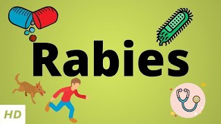 Rabies Causes SIgn and Symptoms Diagnosis and Treatment [upl. by Eirrac768]