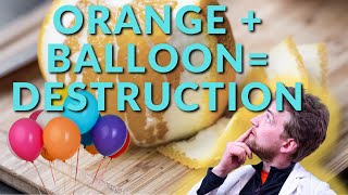 How does an orange peel pop a ballon Limonene Vs Rubber [upl. by Yerffoj936]