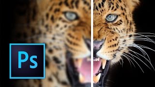 How to Sharpen Images in Photoshop [upl. by Quiteri]