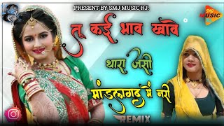 Tu ki bhav khave thara jaisi mandalgarh mein nari  New Rajasthani Dj Remix Song newsong [upl. by Rebba]