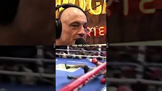 Joe Rogan on Fake Boxing Match 😅 [upl. by Reamonn]