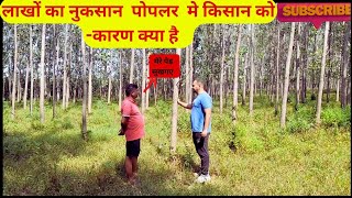 किसान भाई पोपलर की खेती मे नुकसान से कैसे बचेhow to avoid lose in poplar farmingBharatkisanjivan [upl. by Chaunce]