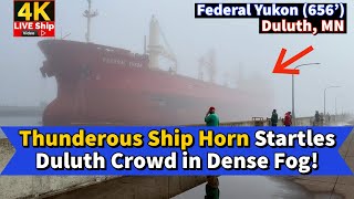 ⚓️Thunderous Ship Horn Startles Duluth Crowd in Dense Fog [upl. by Dedrick]