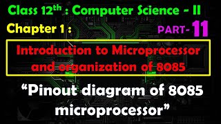 12th Comp Sci Paper  II  Chapter  1  Pinout diagram of 8085 microprocessor [upl. by Koller331]