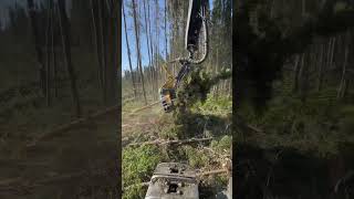 abitibi logging quebec forestry logginglife foryou foresterie🌲 johndeere ponsse ponsseh7 [upl. by Hebrew]