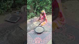 Village lifeganvurad ki dal bna rhi daifatak rhi daiganv ka kam premanand mahraj 🙏rural india [upl. by Eiclud]