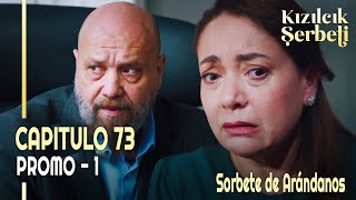 Kızılcık Şerbeti  Sorbete de Arándanos  Capitulo 73 en Español  novelasturcas seriesturcas [upl. by Enisaj]