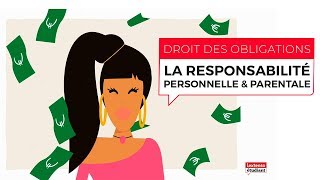 Cas pratique animé  Droit des obligations La responsabilité personnelle et parentale [upl. by Teirrah]