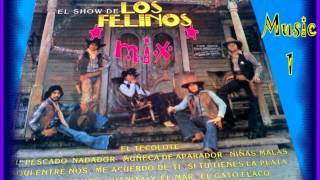 QUE BONITO mix  ★ Los Felinos ★ [upl. by Ernestine]