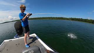 Sight fishing for giant smallmouth bass in Canada [upl. by Savill]