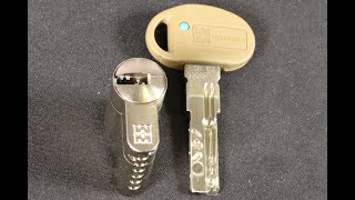 L213 Mottura Champions C39 Euro Cylinder Lock  pick and gut [upl. by Roee852]