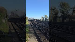 Merchant Navy no 35028 British Pullman passes Headcorn 24 October 2024 [upl. by Adniral215]