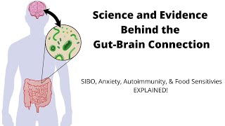 The Gut Brain Connection  SIBO Food Sensitivities amp Autoimmunity Explained [upl. by Fenwick]