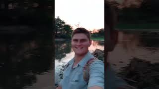 Hippos on a farm dam In Limpopo [upl. by Kafka]