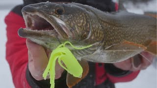 Lake Trout Jigging Techniques Ice Fishing [upl. by Clarice]