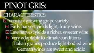 Pinot Gris [upl. by Aneehsat401]