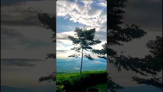 Pesona memukau kawasan Gunung Dempo Kota pagaralam filmkoma pagaralamterkini pagaralam [upl. by Ennoved]