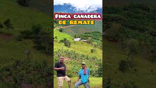 PEDROPARRA Gangazo Finca Ganadera De 10Hectareas cerca cali Colombia campo ventas [upl. by Byrd]