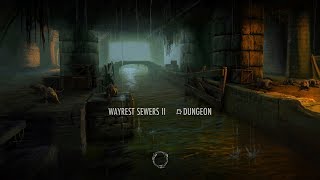 ESO Dungeon Lore Movie Wayrest Sewers pt2 No Second Chances [upl. by Rexfourd485]