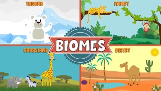 Biomes of the World  Types of Biomes  Video for Kids [upl. by Leirbma386]