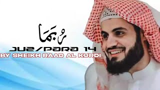 Juz 14 Full By Sheikh Raad Al Kurdi  Para 14  جز ١٤ بصوت جميلة القارئ رعد محمد الكردي [upl. by Ahsille709]