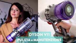 RECENSIONE DYSON V11 Absolute 599€ BEN SPESI  PULIZIA E MANUTENZIONE aspirapolvere senza fili [upl. by Dolores492]