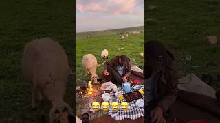 Sheep Likes the Pizza 🍕 ytshorts sheep keşfet youtubeshorts [upl. by Lepper167]