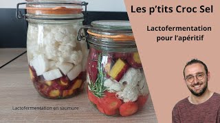 Lactofermentation pour lapéritif [upl. by Lap]