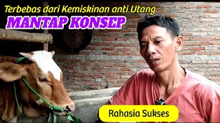 Sukses Ternak integrasi ANTI MISKIN 1 kandang ada Sapi Kambing 400 Bebek [upl. by Nylirek]