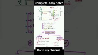 tissue class 9 notes एकदम आसान science notes [upl. by Ariamoy]