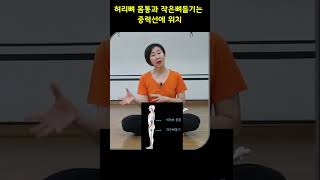 마름모코어  허리뼈 몸통과 작은뼈돌기는 동일하게 중력선에 위치해요 [upl. by Ahsla459]