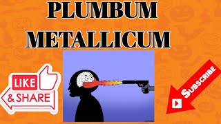 PLUMBUM METALLICUM HOMOEOPATHIC MEDICINEDRUG PICTURE [upl. by Lyckman883]