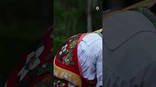 Los voladores de Papantla el ritual de los hombres pájaro [upl. by Jempty]