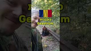 Geastrum כוכבנית ברומניה romania israel ליקוט פטריות [upl. by Katharine]