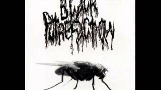 Black Putrefaction  Putrescine Butyric Fermentation II  split w Sewercunt FULLALBUM [upl. by Woodberry]