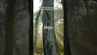 Hope  Quotes Music and Peaceful Videos bgm piano music [upl. by Buchheim732]