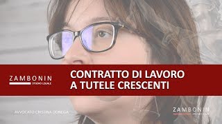 Contratto di lavoro a tutele crescenti [upl. by Chuu]