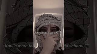 Sabry Aalil  Sherine x Busta Rhymes sherine sabryaalil remix bustarhymes [upl. by Ahseined]