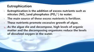 E53 Describe the process of eutrophication and its effects [upl. by Nevanod77]