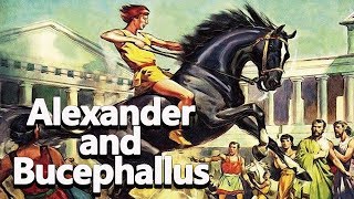 Alexander and Bucephallus The Black Stallion  Alexander the Great Ep03  See U in History [upl. by Zere]