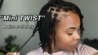 My Simple Mini Twist routine TwoStrand Twist  Natural Hair  protective styles [upl. by Paola149]